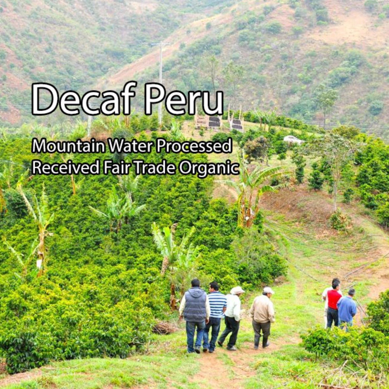 Decaf Peru