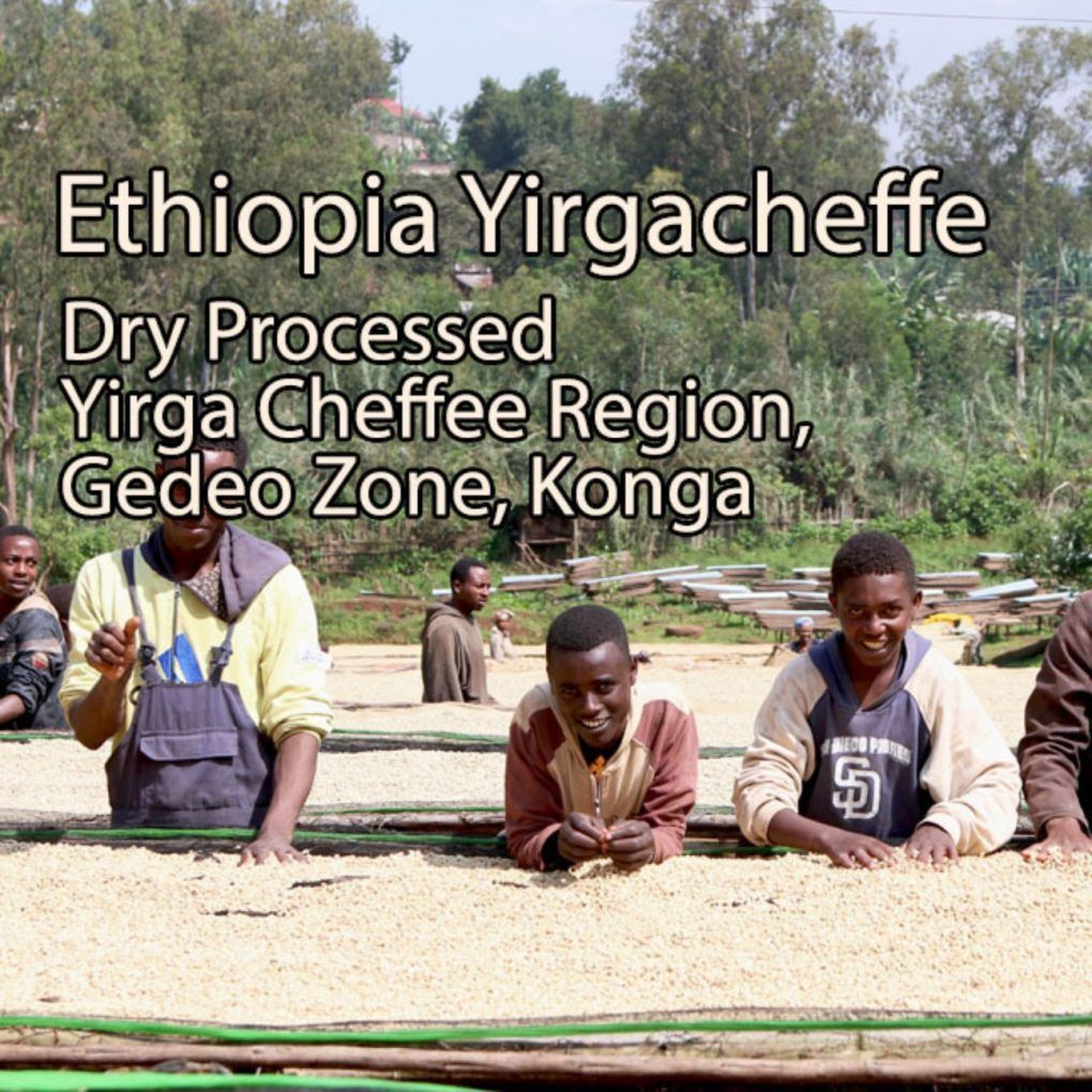 Dry Ethiopian Yirgacheffe