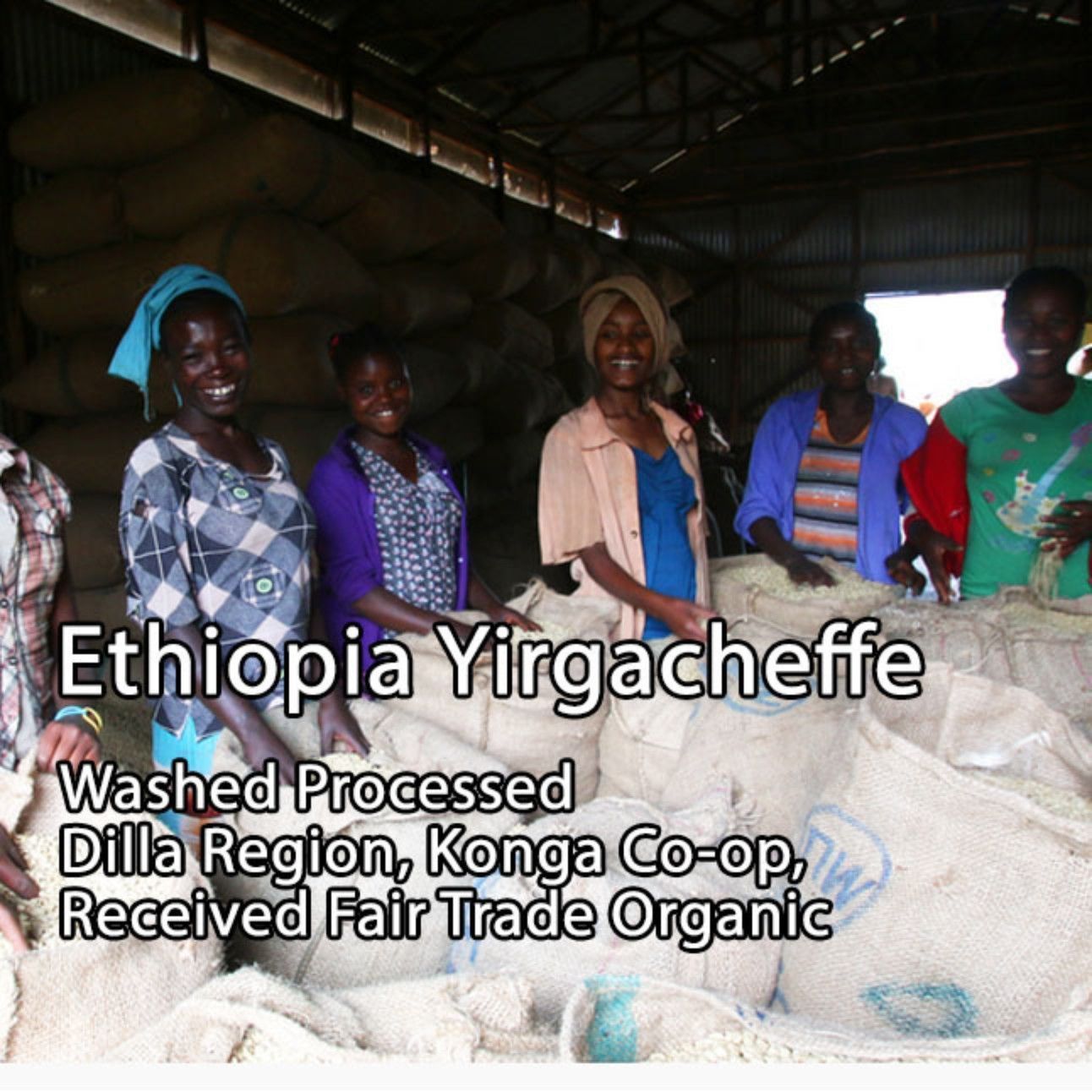 Washed Ethiopian Yirgacheffe